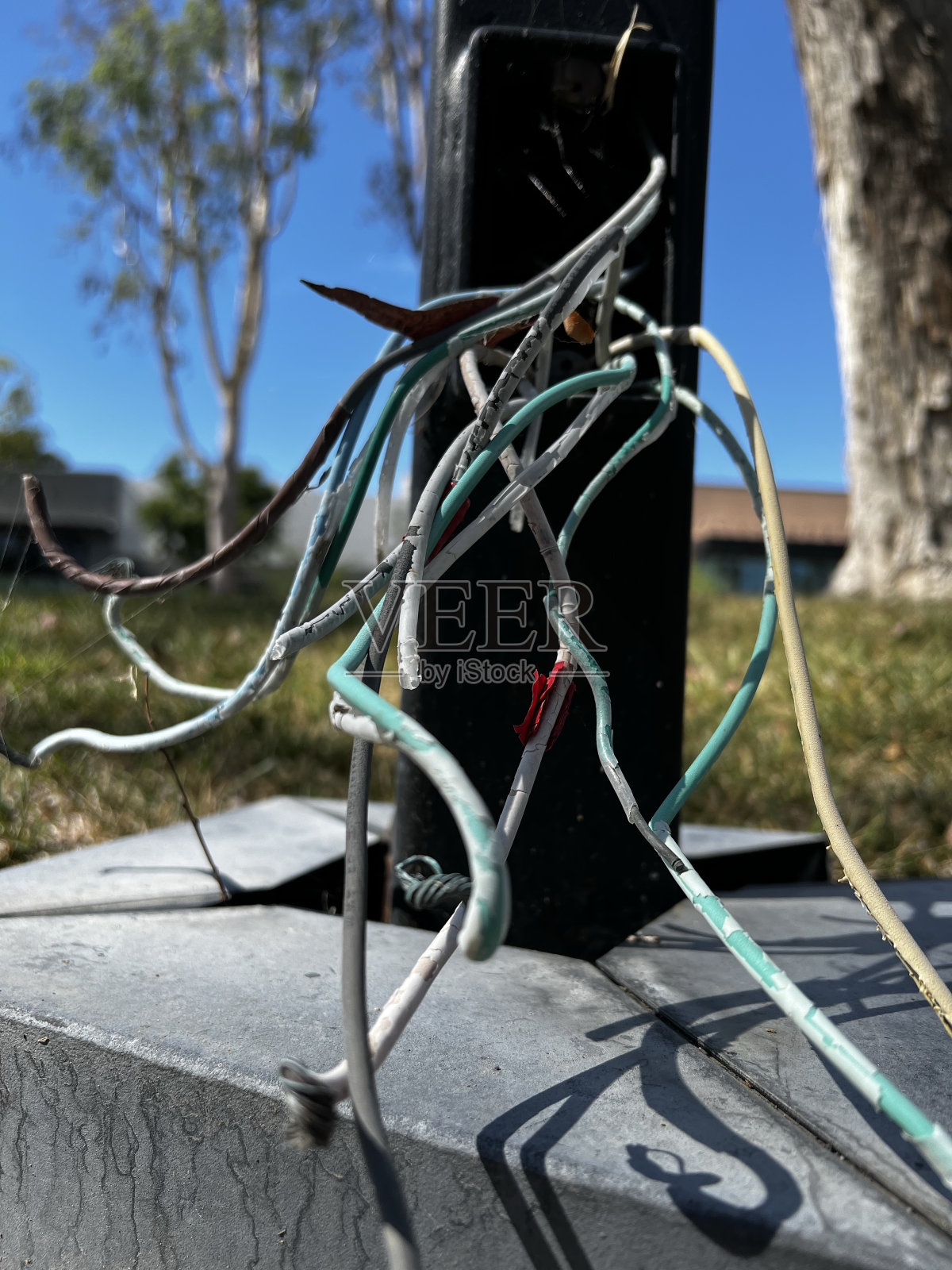 电线从灯杆里伸出来照片摄影图片