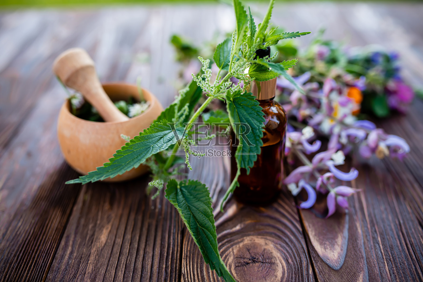 普通荨麻、烧荨麻，与夏季药材和鲜花鲜干用在天然草药和顺势疗法附近的砂浆中照片摄影图片
