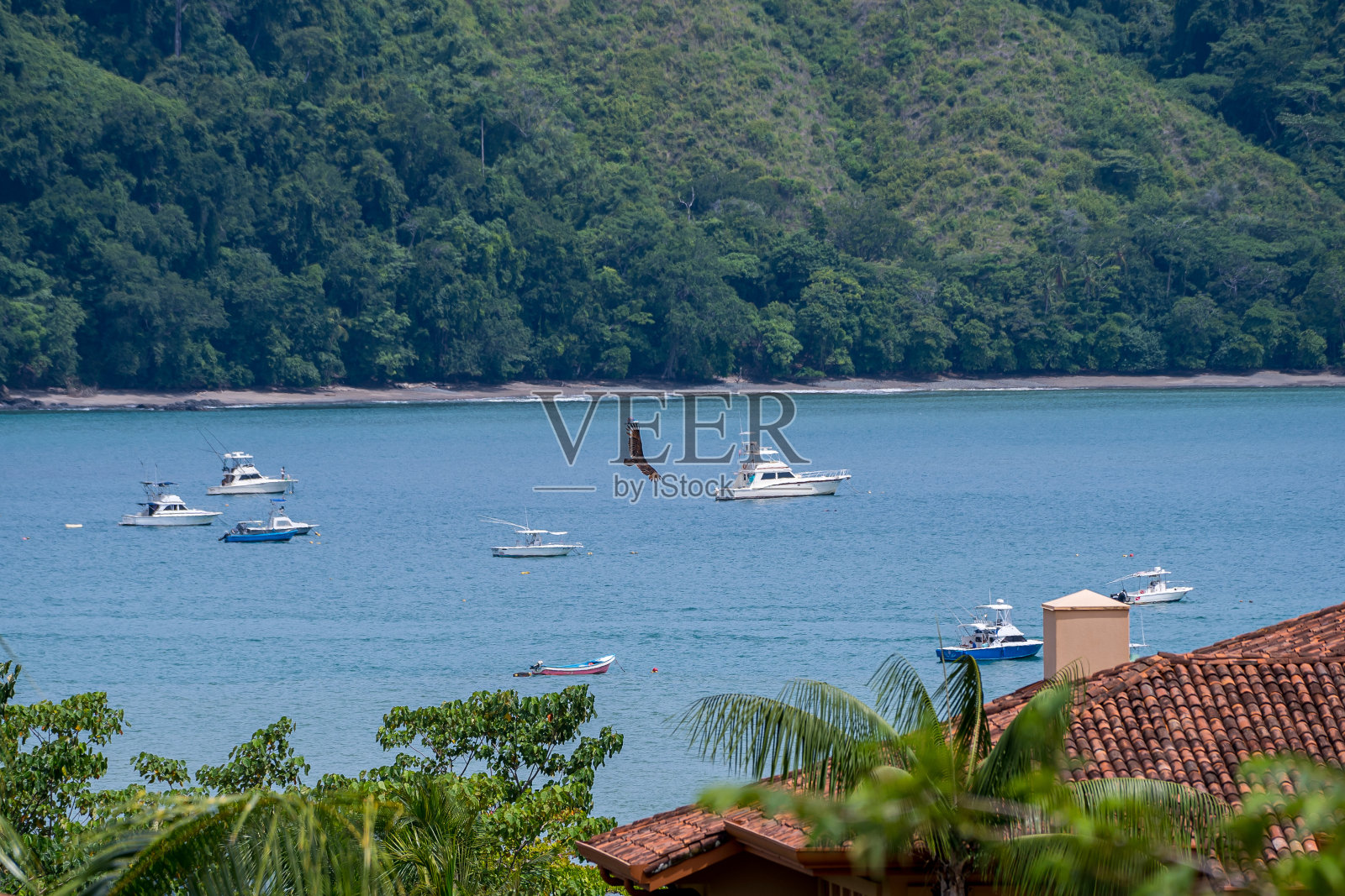 美丽的鸟瞰图的Los Sueños码头满是游艇和船只在赫拉杜拉海滩-哥斯达黎加照片摄影图片