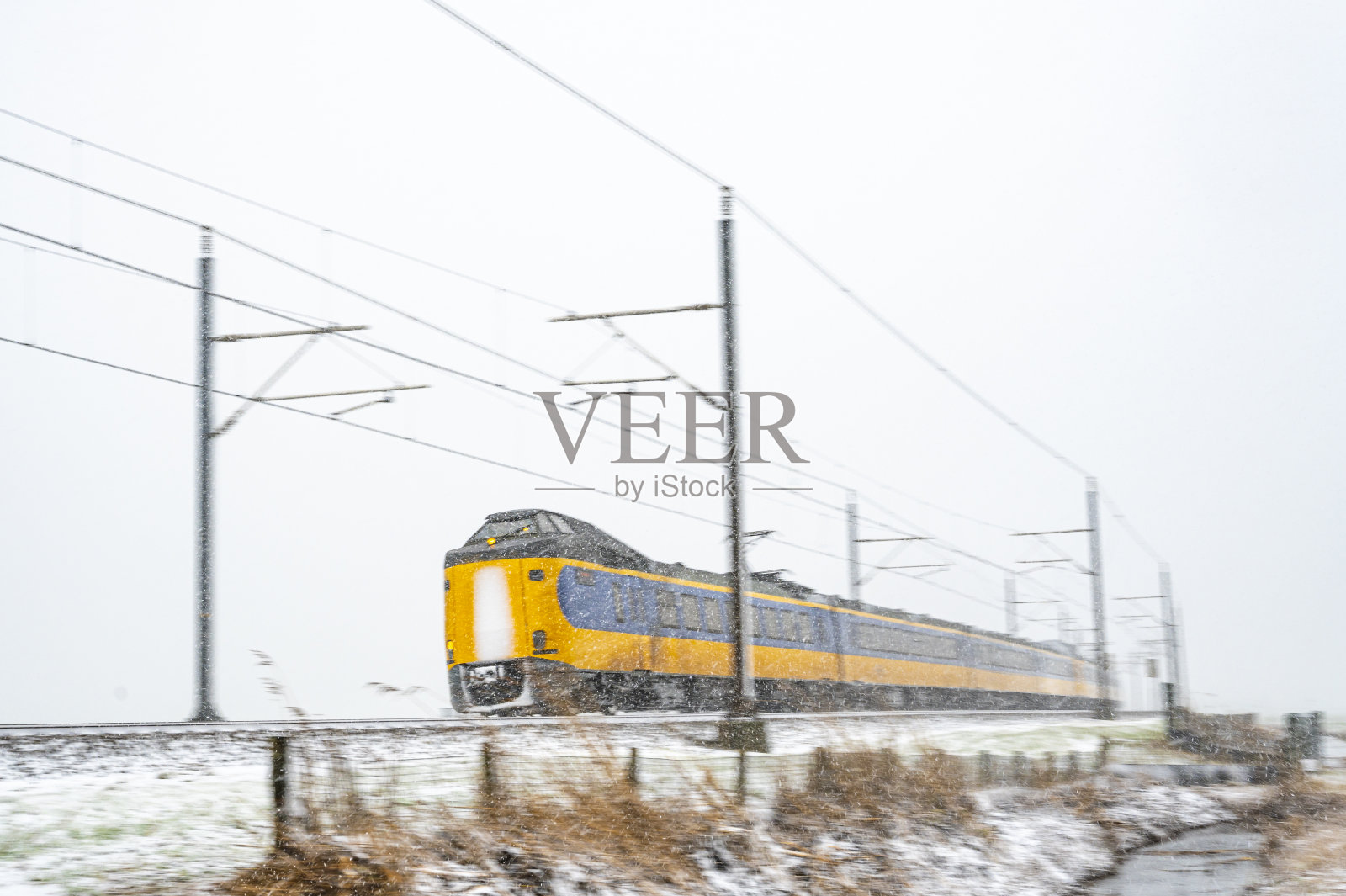 荷兰铁路公司的城际列车行驶在雪地上照片摄影图片