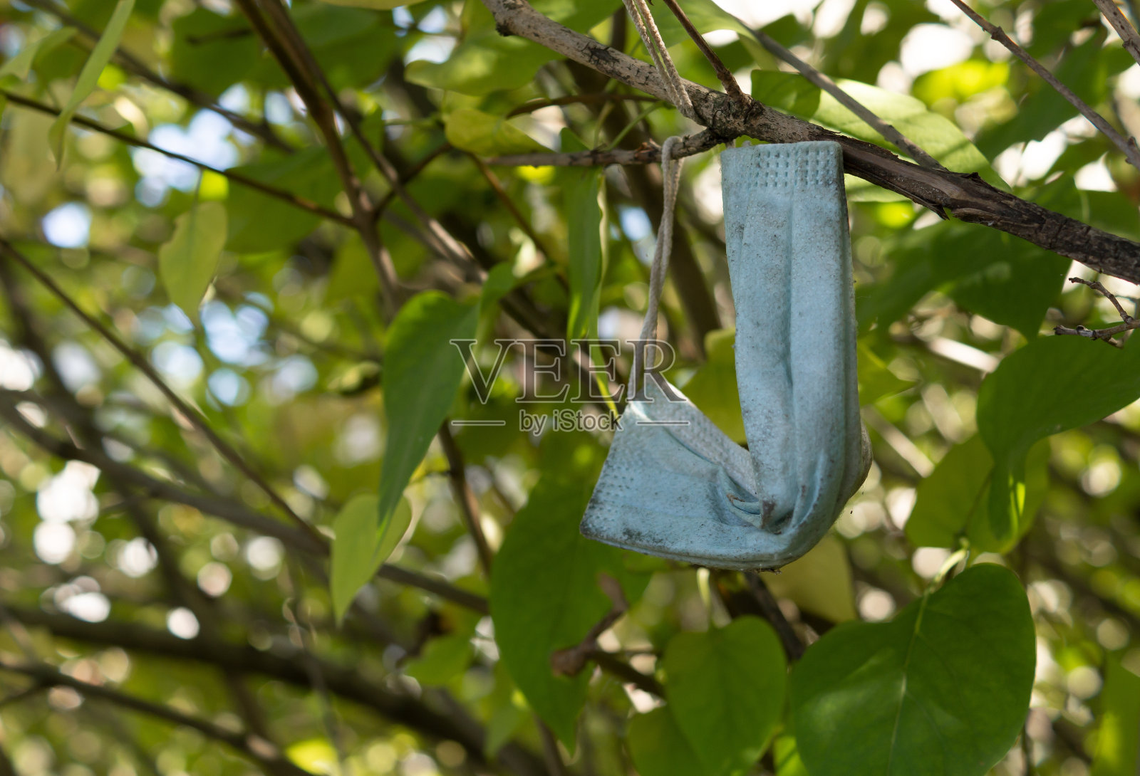 用过的医用防护口罩扔在树上。环境污染的概念照片摄影图片