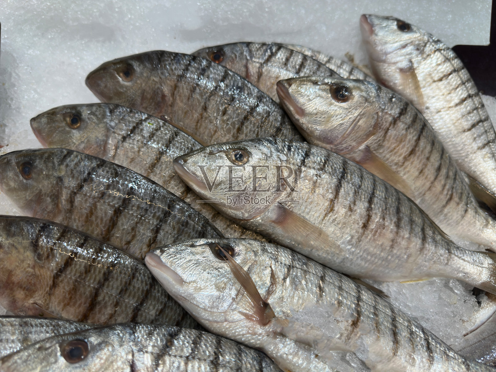 市场摊位上的鲜鱼照片摄影图片