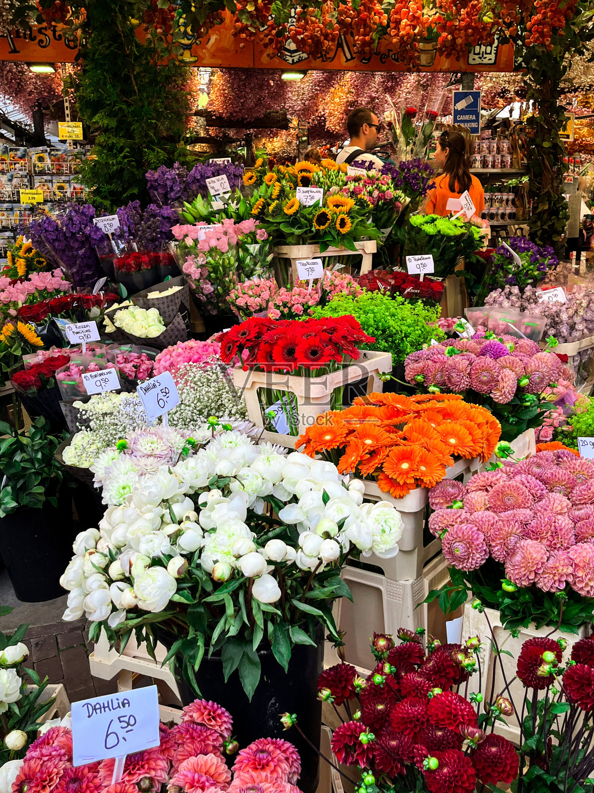 阿姆斯特丹花卉市场的摊位上摆放着各种鲜艳的花朵和球茎照片摄影图片