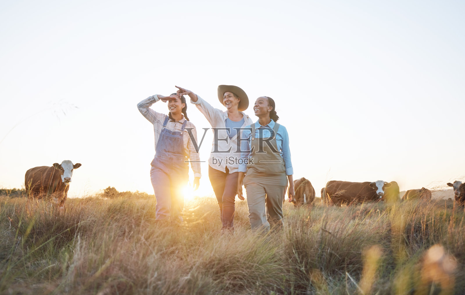 农场，农业和妇女与奶牛指向检查，牲畜和动物卫生。农业企业、农村和人们与牛一起规划乳制品、牛肉生产或可持续农业照片摄影图片