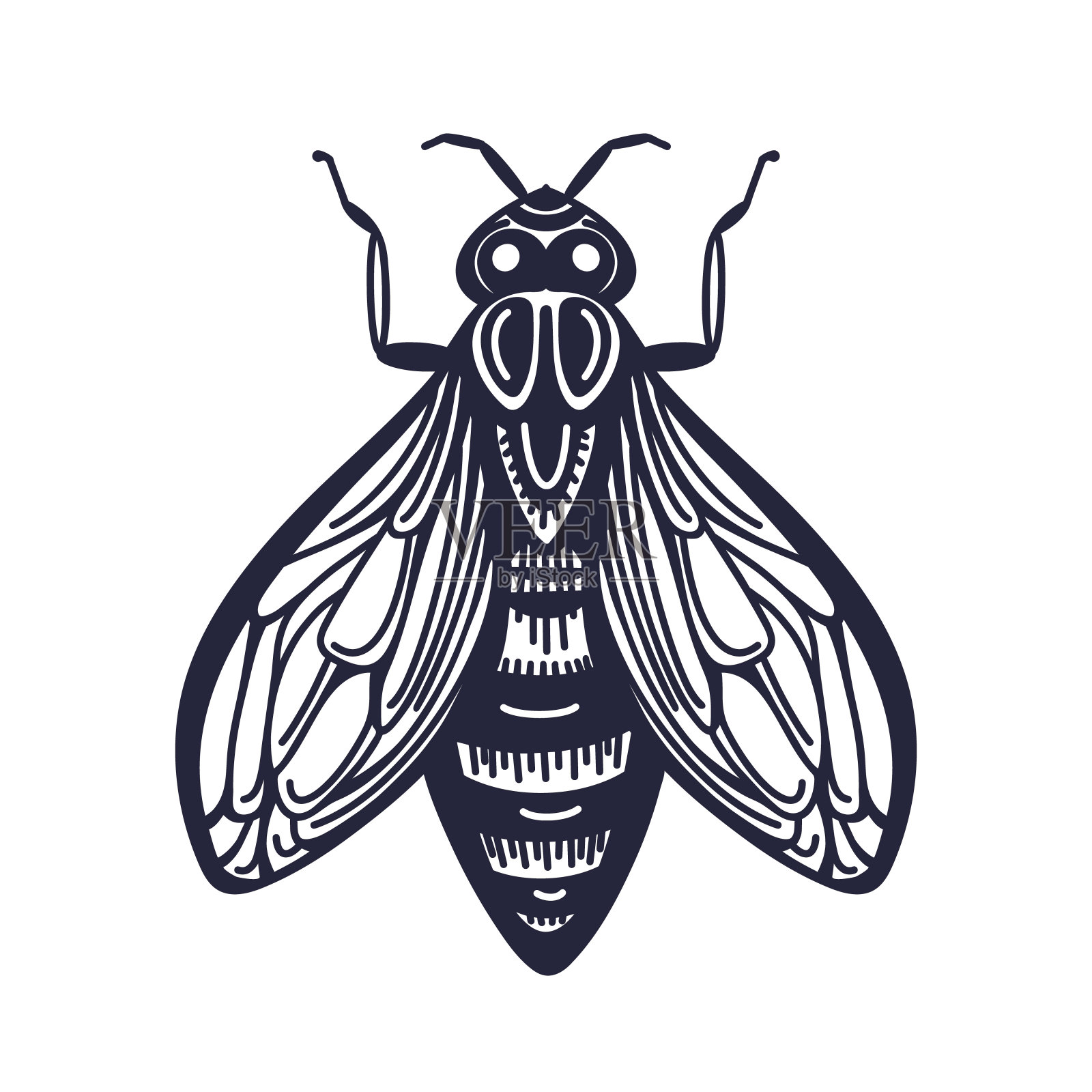 蜜蜂。病媒昆虫。艺术素描，图形纹身插画图片素材