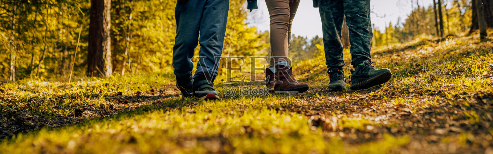 人们在秋天的森林里散步照片摄影图片