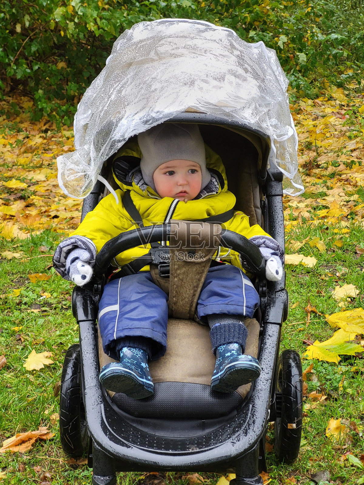 一个孩子坐在婴儿车里，在秋天的公园里，雨中树叶泛黄照片摄影图片