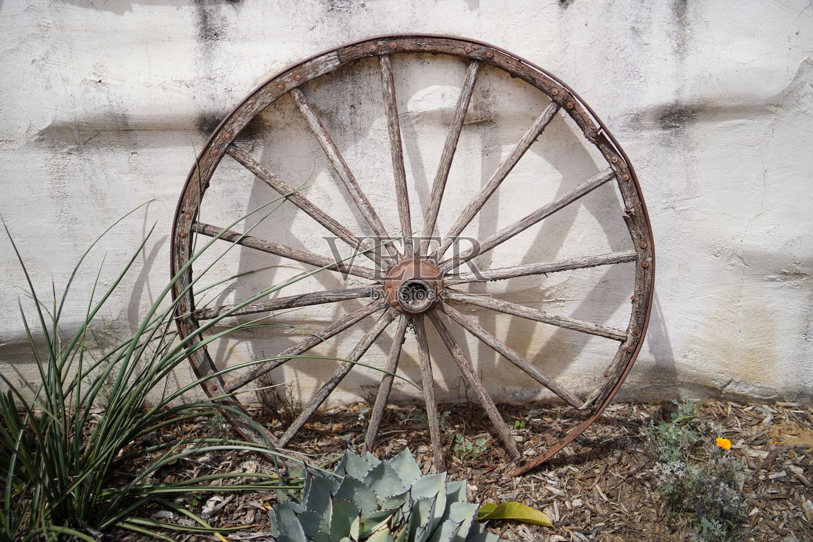 花园白墙旁的木轮照片摄影图片