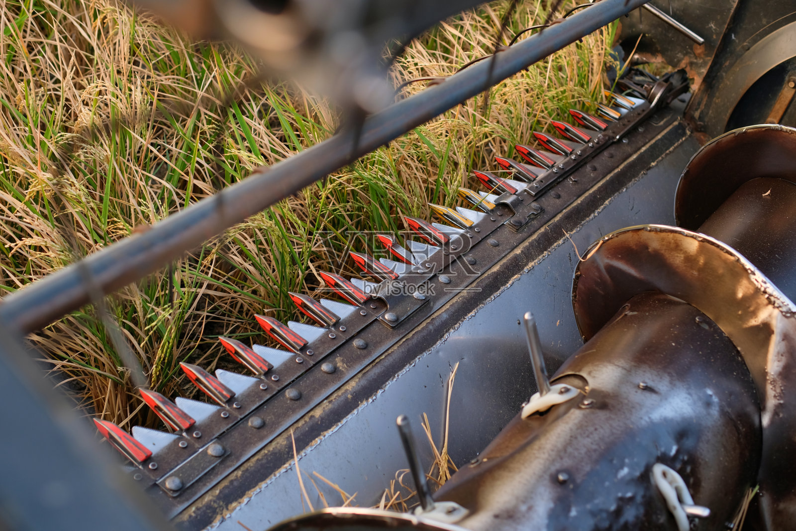 稻田里的联合收割机照片摄影图片