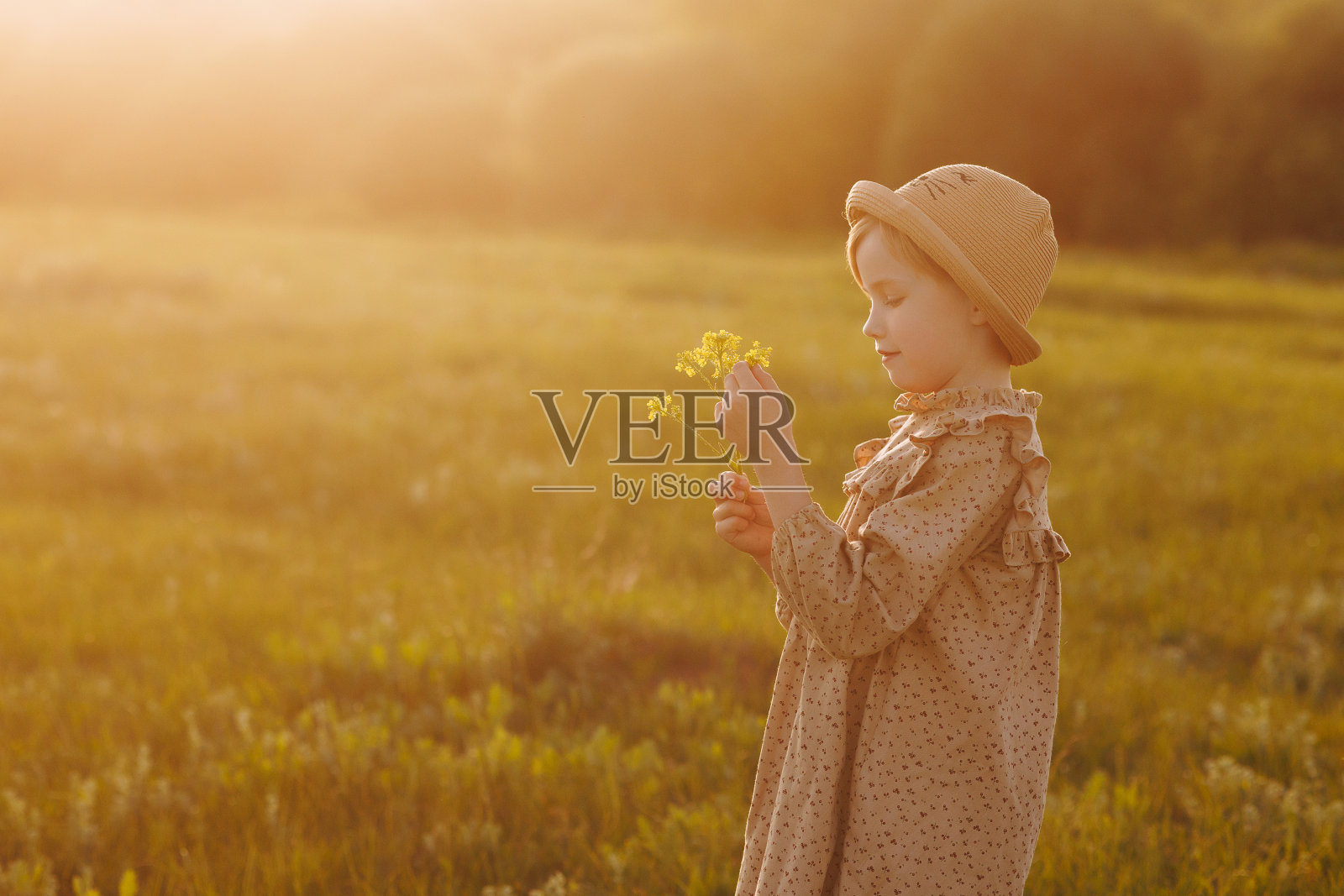 小女孩在花圃里捧着花照片摄影图片