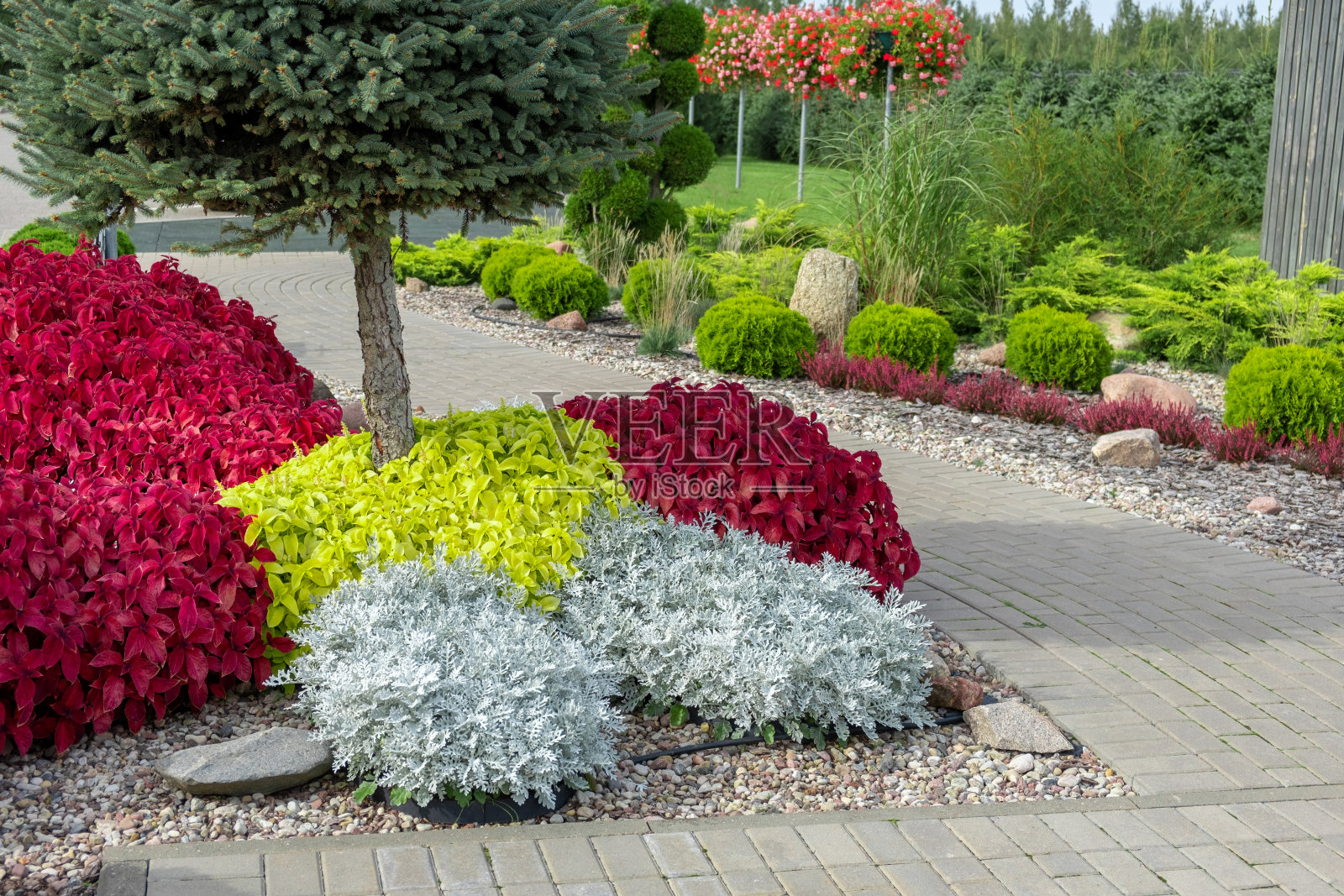 有人行道的前院。美丽的花园小径由天然石头、砾石制成。巨大的景观美化趋势。草坪，后院的灌木丛。风景优美。家居设计。车库的车道上照片摄影图片