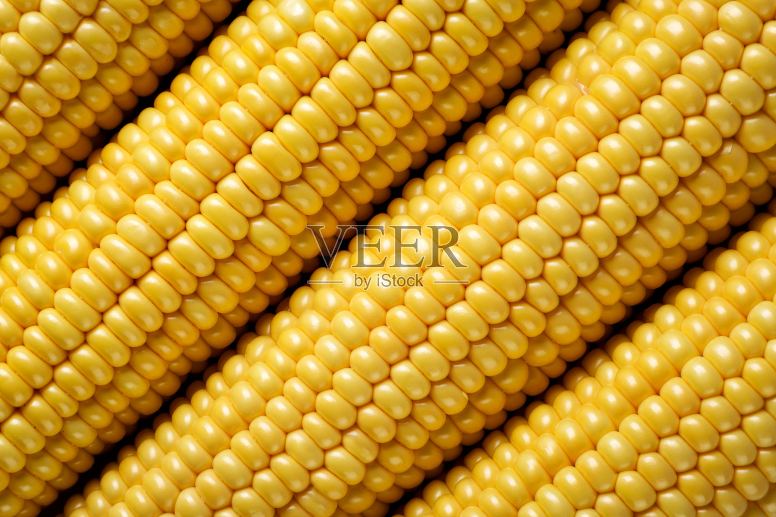 成熟的玉米棒，背景。前视图。照片摄影图片