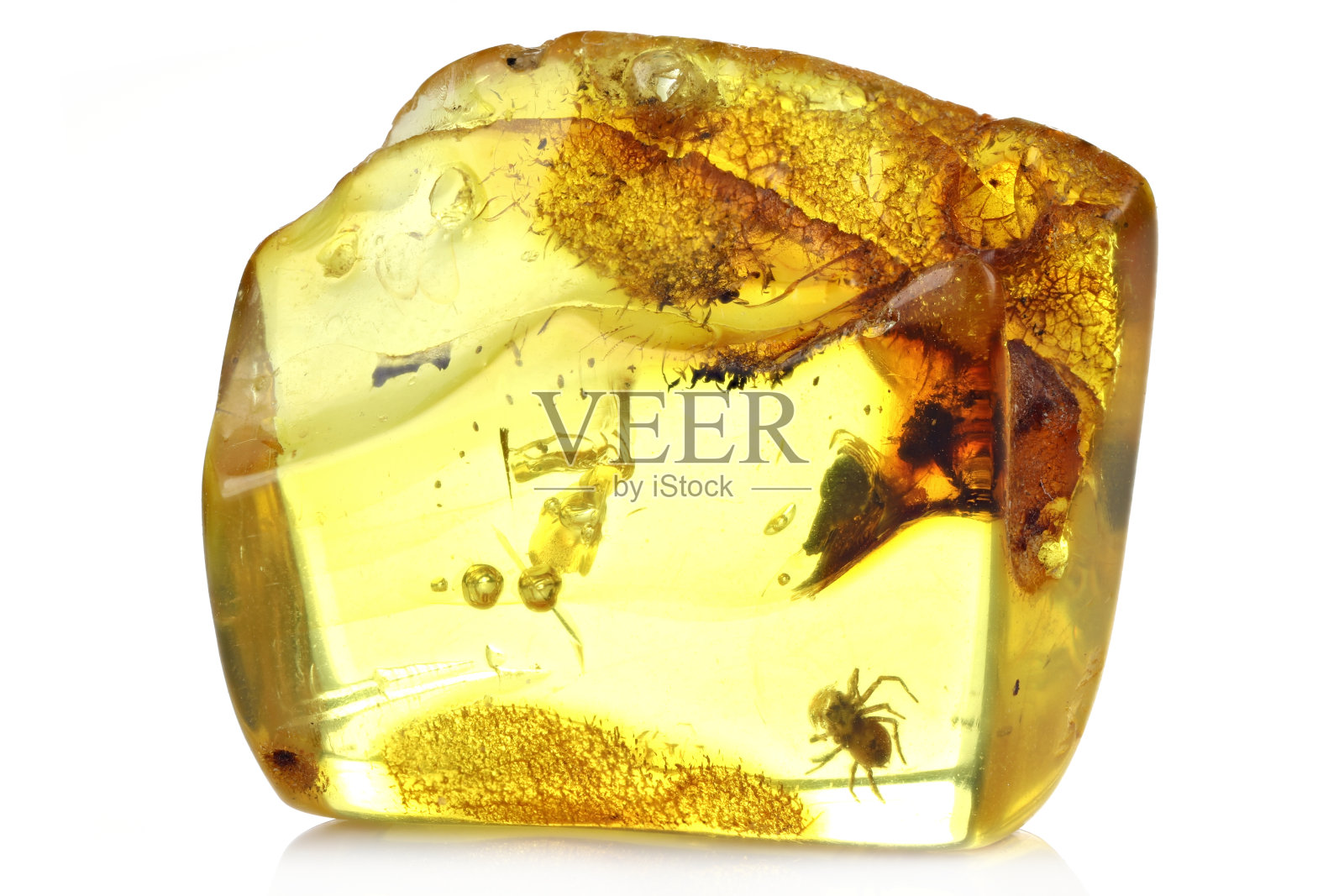 波罗的海带蜘蛛琥珀照片摄影图片