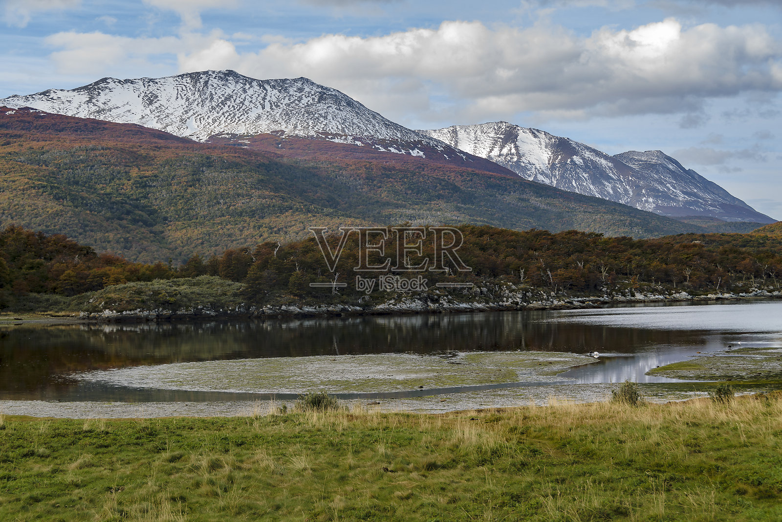 火地岛公园景观，阿根廷照片摄影图片