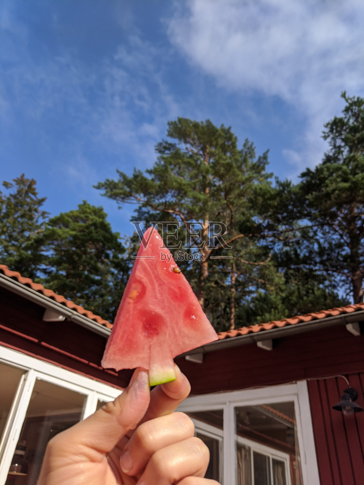 拿着西瓜享受瑞典的夏末时光。照片摄影图片