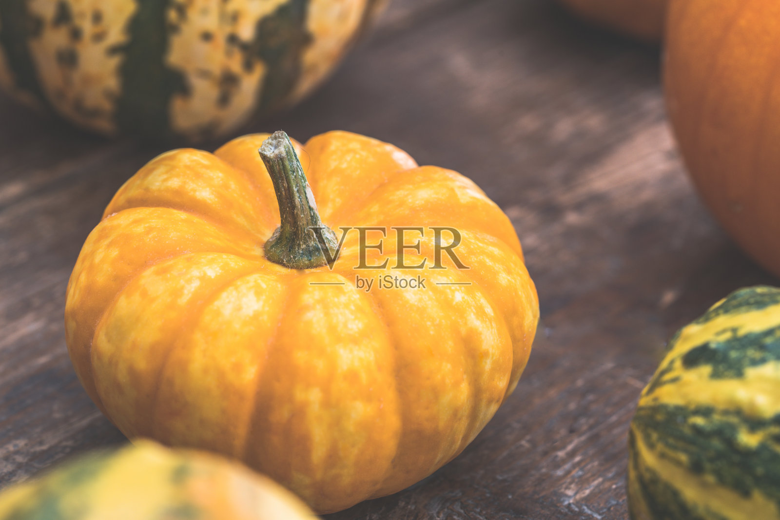 南瓜照片摄影图片