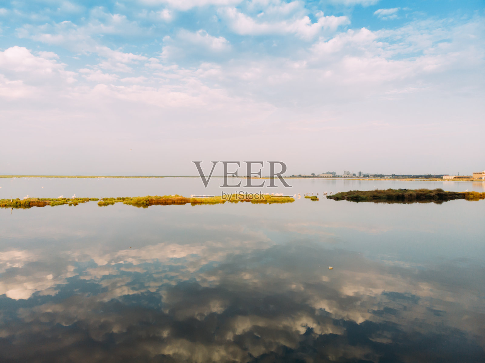 一群粉红色的火烈鸟。河流泻湖库存照片照片摄影图片