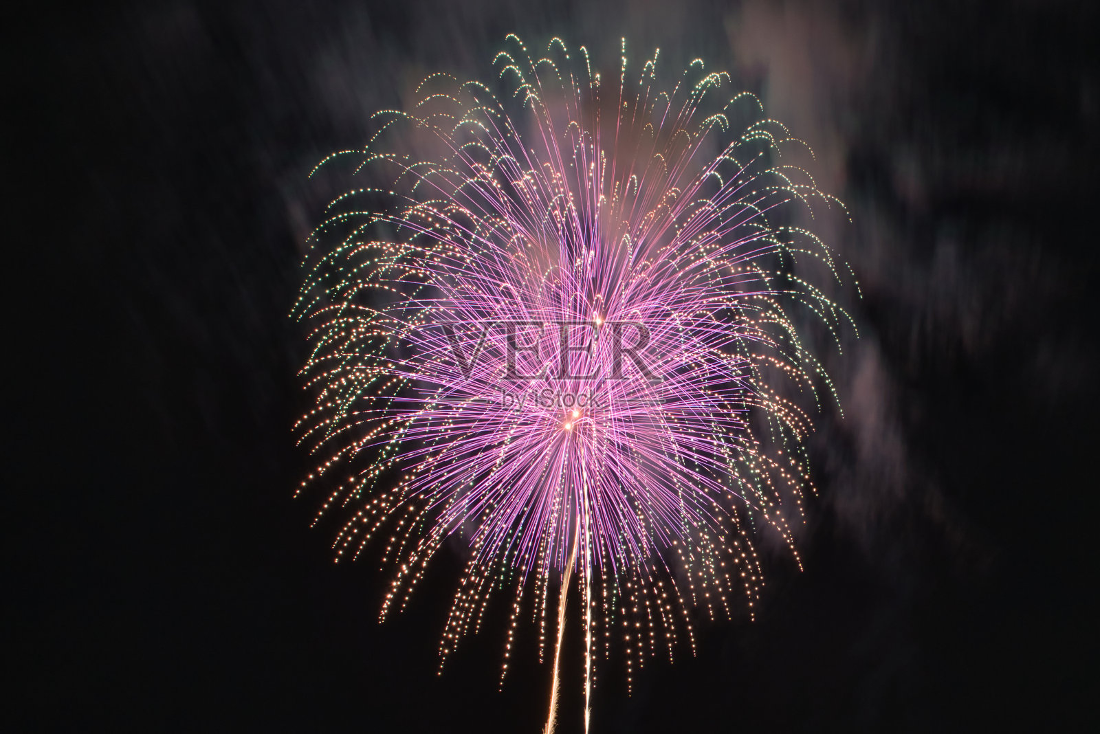 日本新潟市片凯市的烟花照片摄影图片