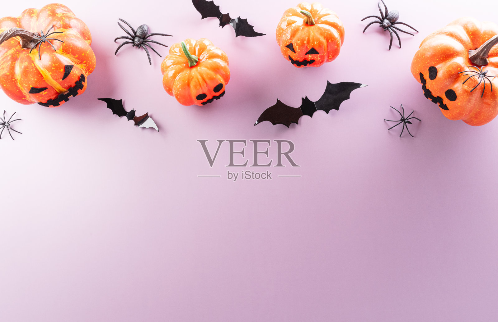 万圣节装饰由南瓜，纸蝙蝠，黑蜘蛛在粉彩背景照片摄影图片