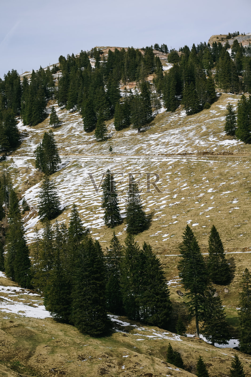 从瑞士Arth镇到Rigi Kulm的路上，从Rigi bahn齿轮火车上看到的铁路旁美丽的自然景观。照片摄影图片