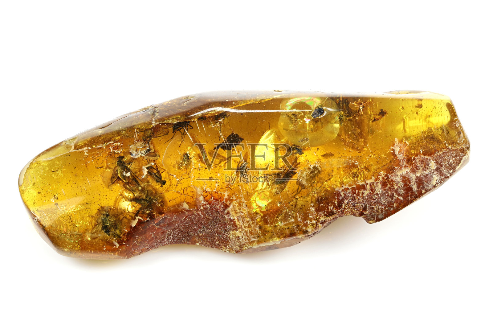 波罗的海琥珀有成群的苍蝇照片摄影图片