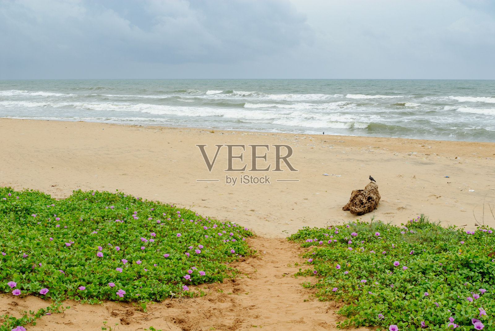 印度泰米尔纳德邦马马拉普拉姆的海滩照片摄影图片