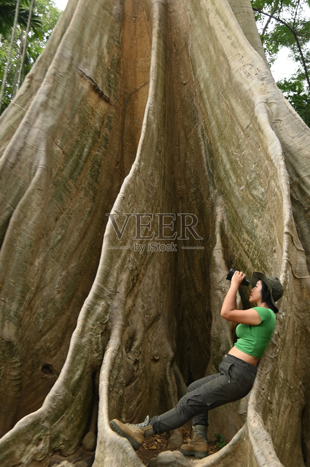 漂亮的亚洲女人用双筒望远镜看着巨大的树根。照片摄影图片