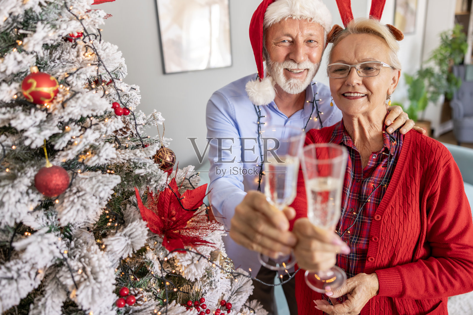老夫妇在圣诞树旁喝香槟照片摄影图片