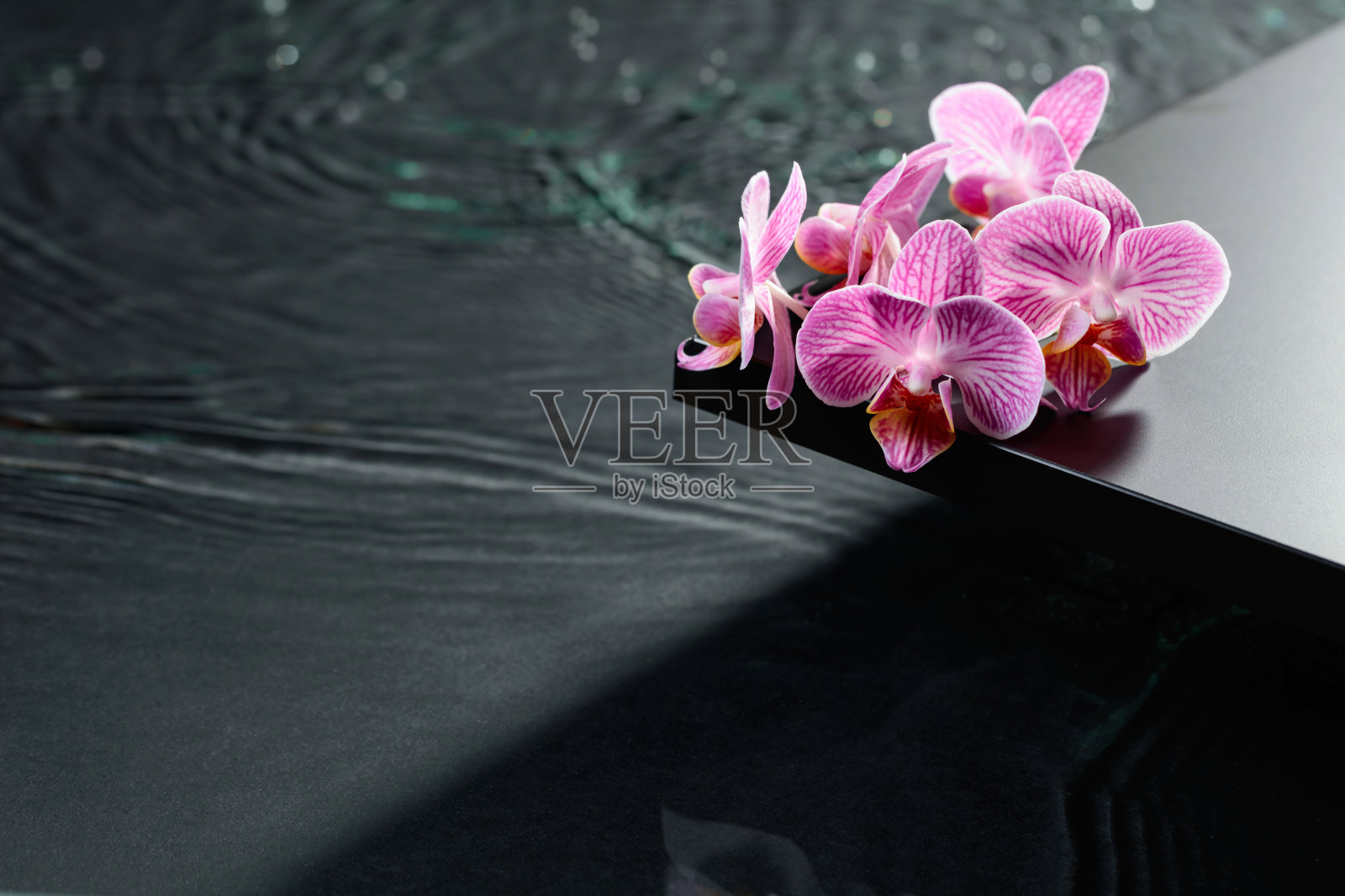 黑板上有美丽的紫色兰花。照片摄影图片