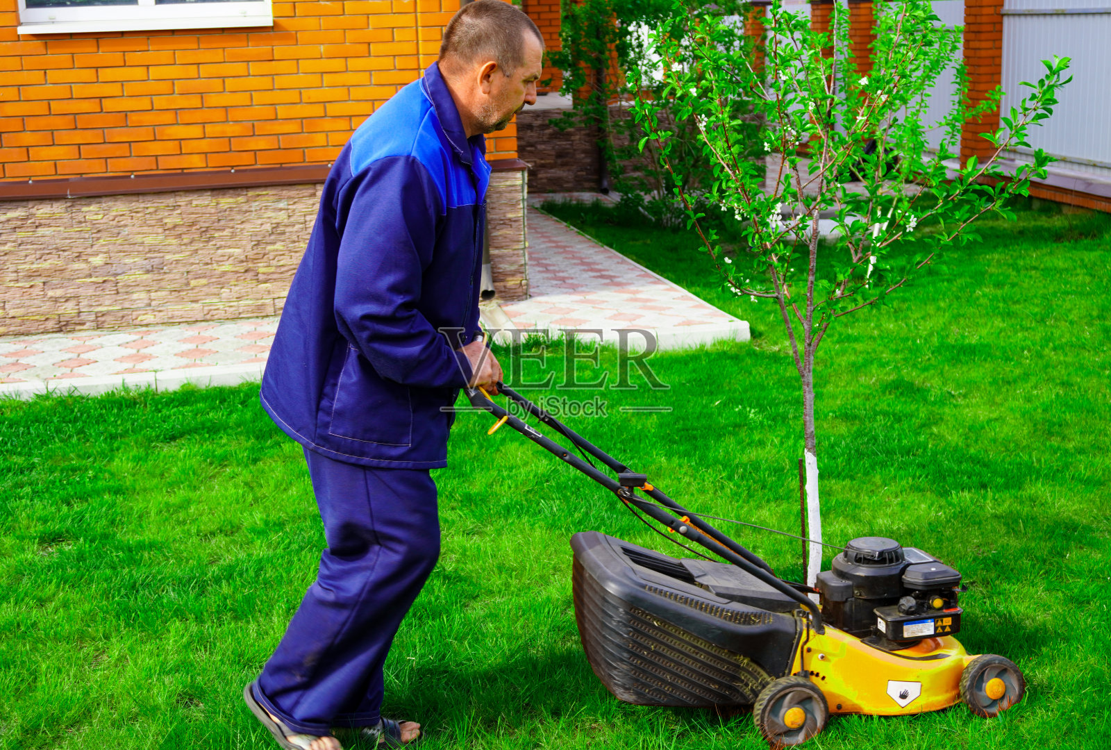 这个人正在花园里干活。用割草机割草。照片摄影图片
