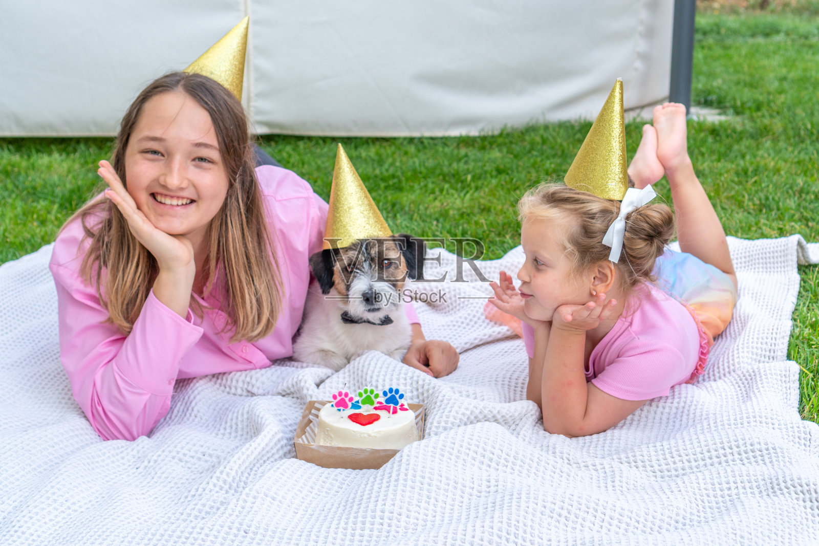 快乐的两个女孩姐妹在他们家的花园里用美味的蛋糕庆祝他们的狗的生日，在后院戴着节日的帽子。可爱的杰克罗素梗宠物和自己的生日派对。节日庆祝概念。给狗的蛋糕。照片摄影图片