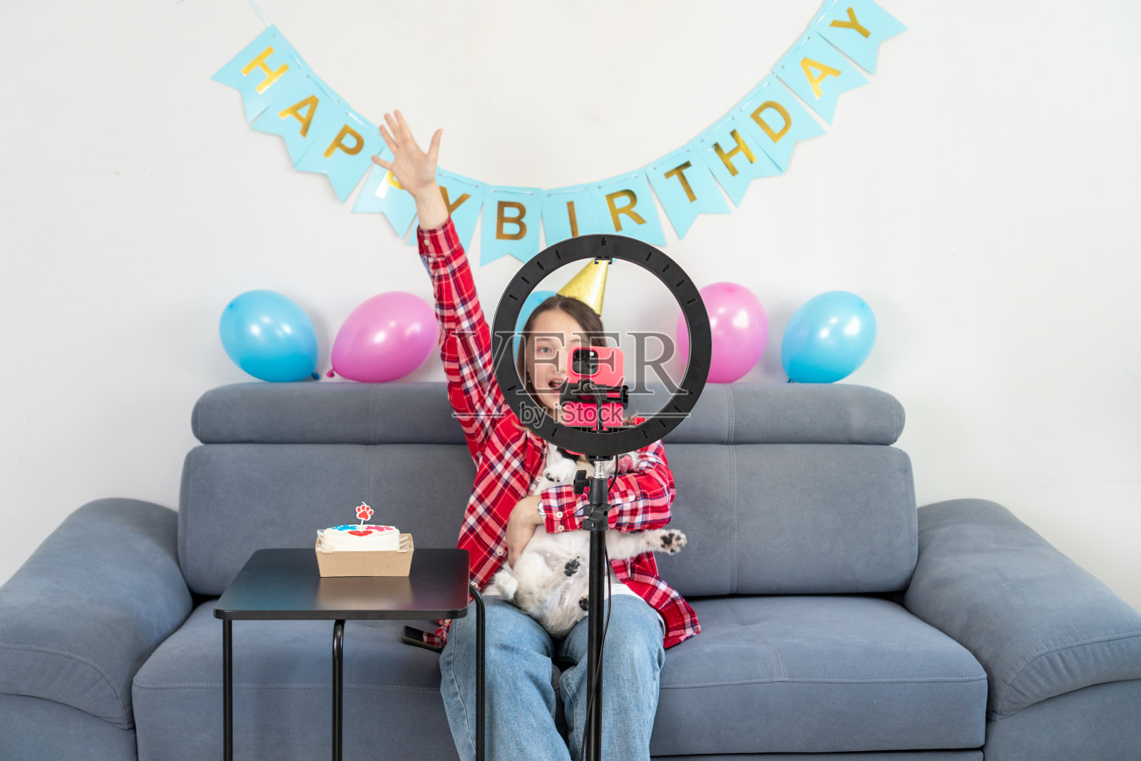 一个十几岁的女孩和她有趣的宠物狗正在庆祝她的生日，并在家里为他们的Tiktok视频博客拍摄视频。Z世代达人玩视频自拍拍秀app分享病毒故事。照片摄影图片