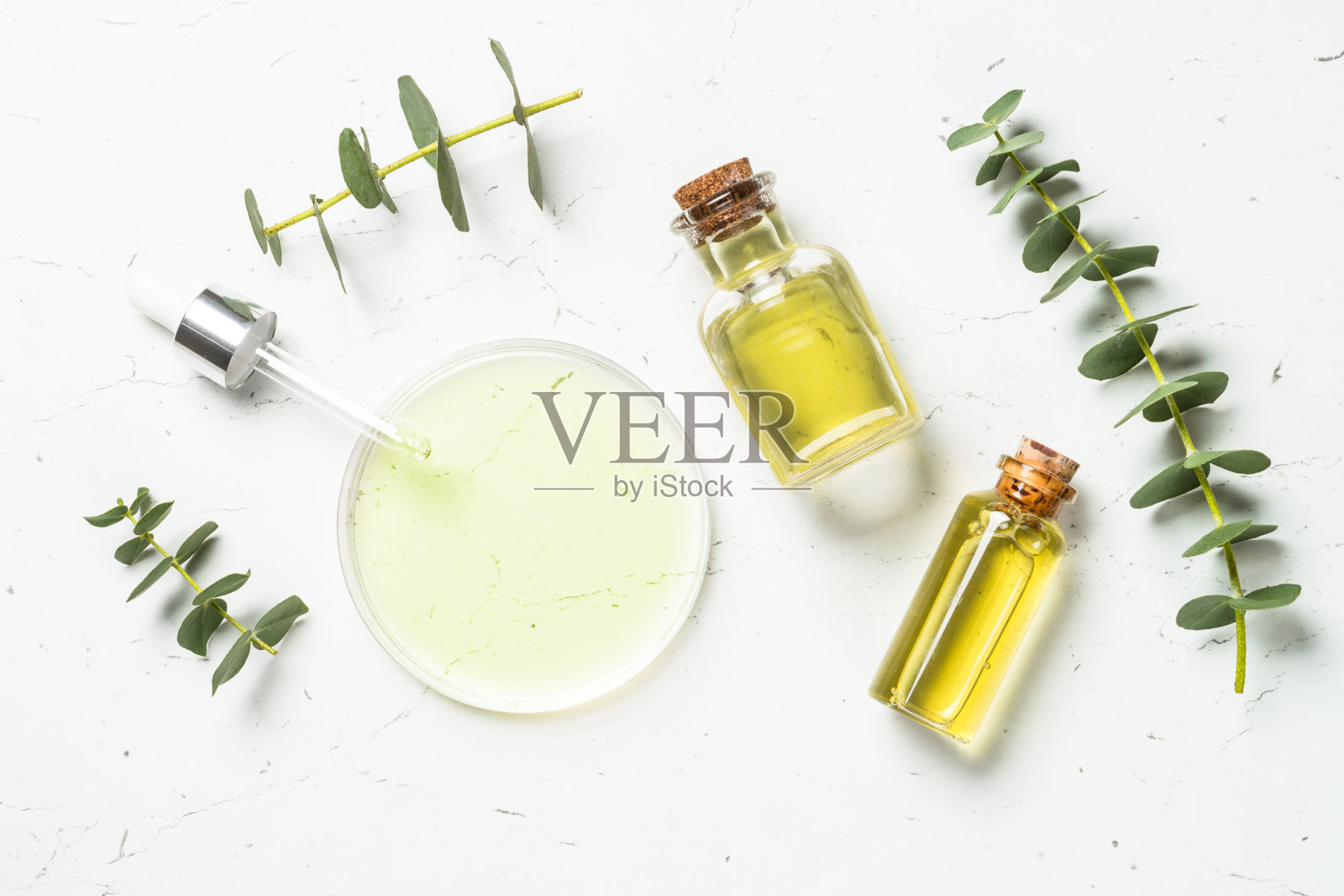 桉树化妆品，水疗产品在白色背景。照片摄影图片