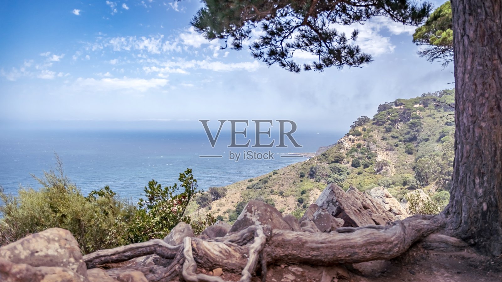 Perdicaris公园，丹吉尔，摩洛哥照片摄影图片