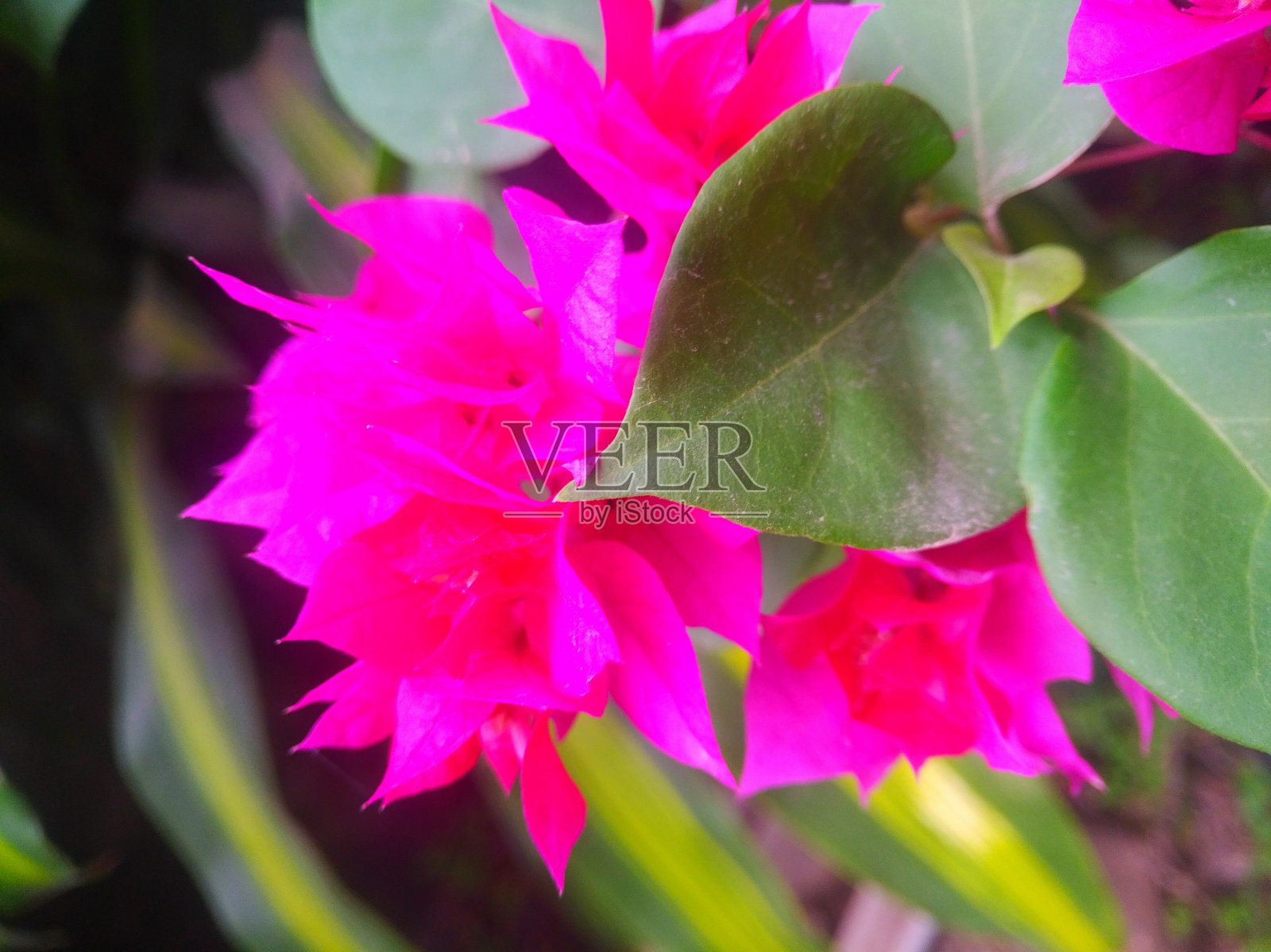 自然10照片摄影图片