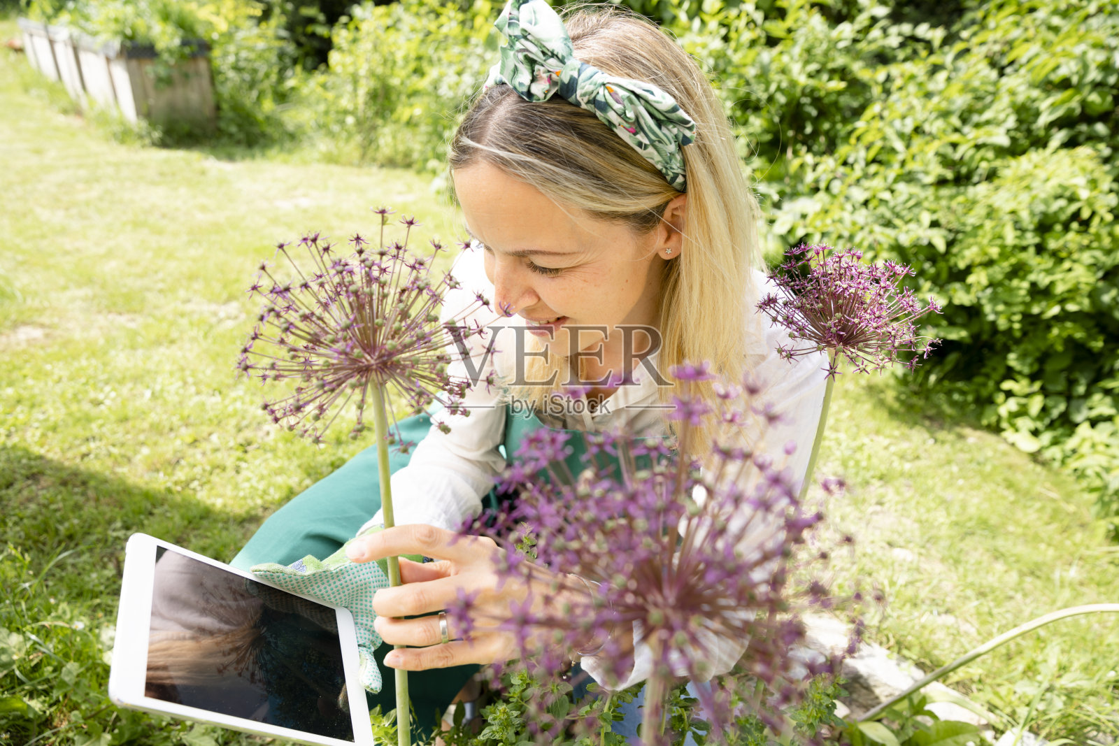 漂亮的年轻女园丁做了一个博客，直播主题花，植物在她的花园照片摄影图片