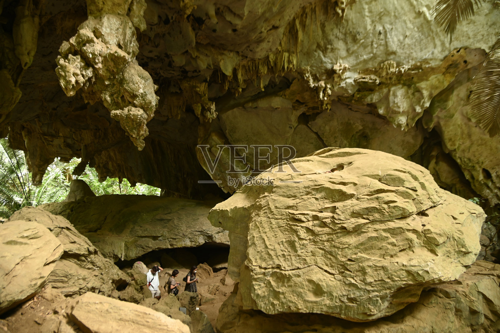 河巴达是一个像原始森林一样的山谷，在泰国是看不见的。这是一个巨大的洞穴大厅的外观，通向一个充满了树木和奇怪的古老植物的森林。困难。照片摄影图片