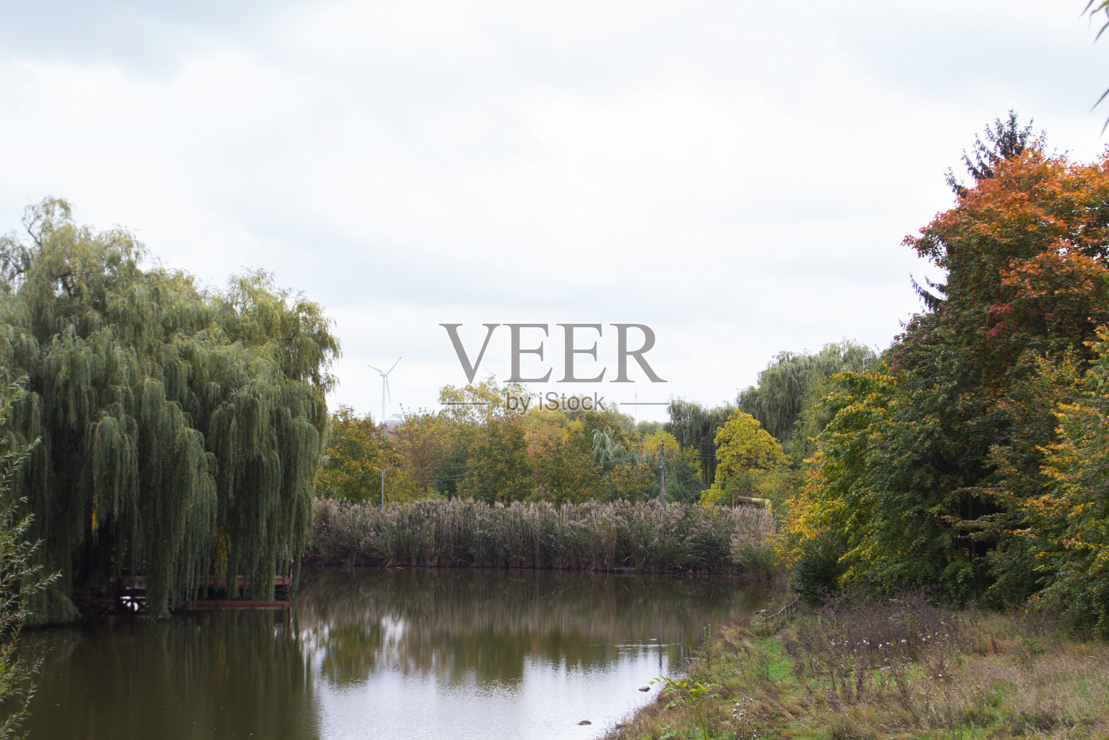 城市公园的秋景，摩尔多瓦的秋天。照片摄影图片