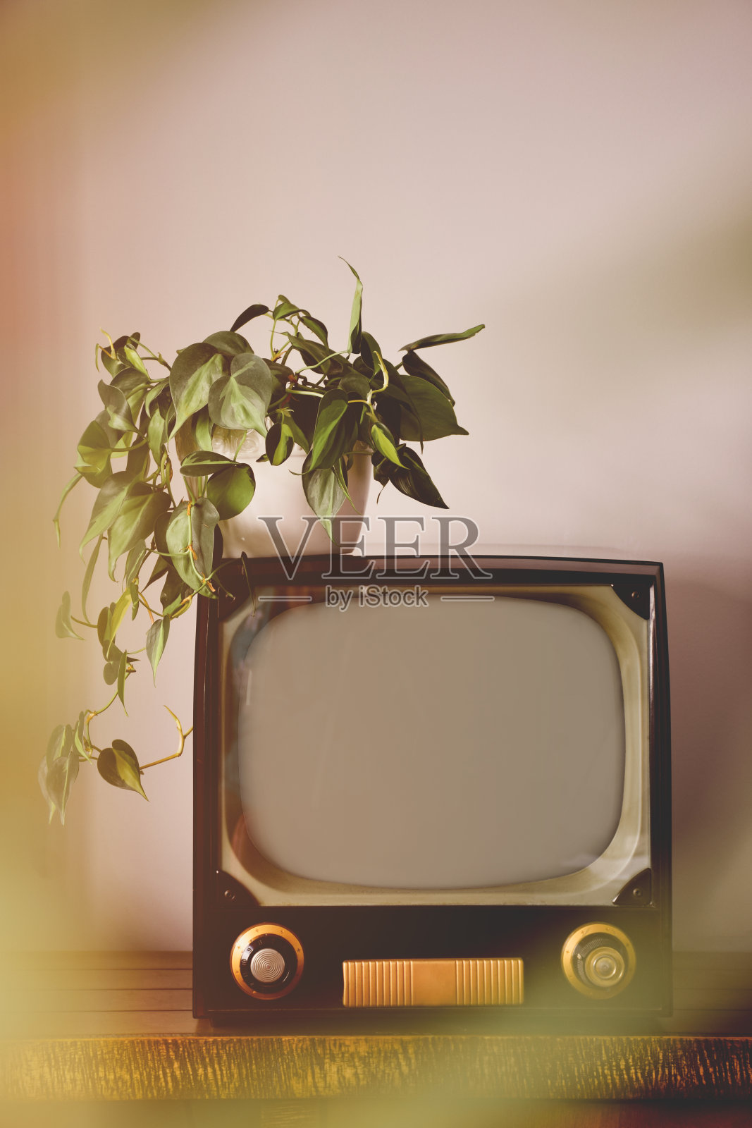 客厅里的老式复古电视，上面有室内植物照片摄影图片