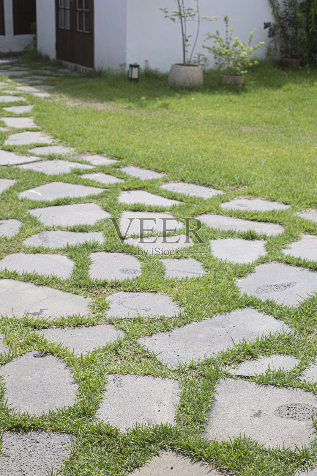 石头小径穿过绿草草坪的背景照片摄影图片