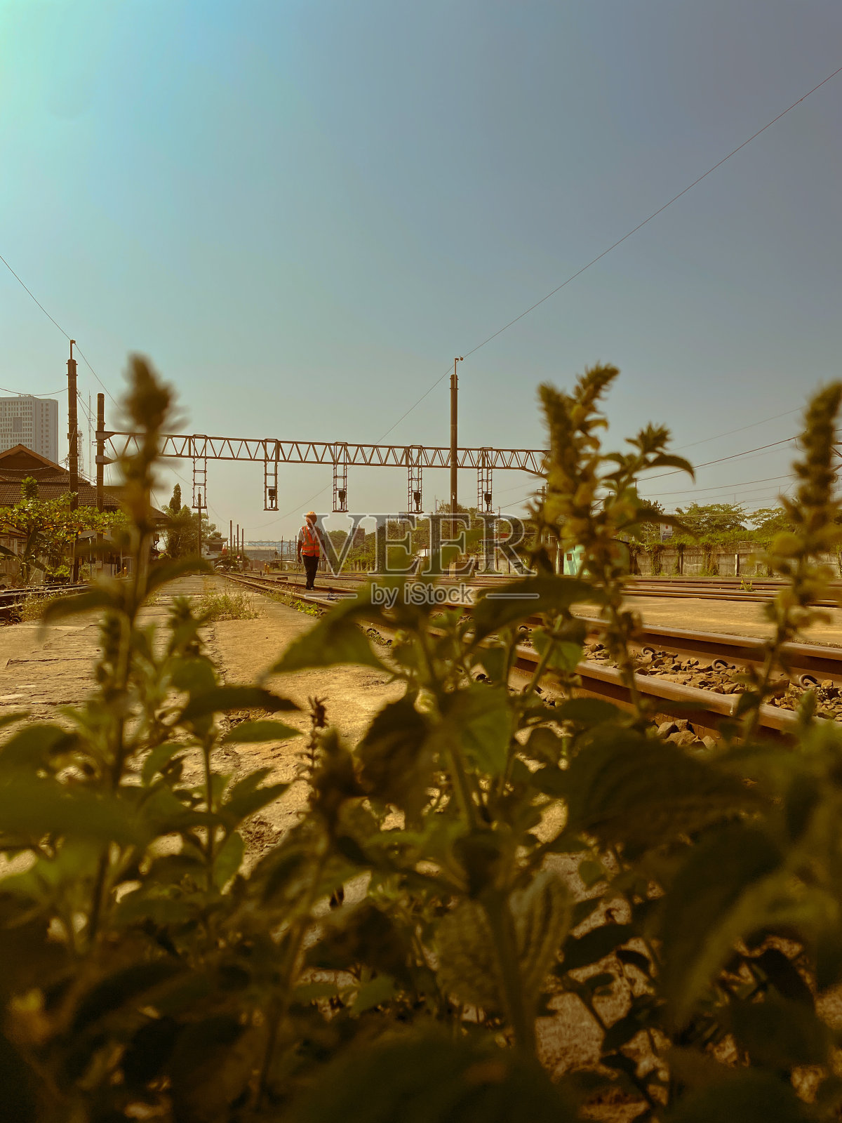 检查照片摄影图片