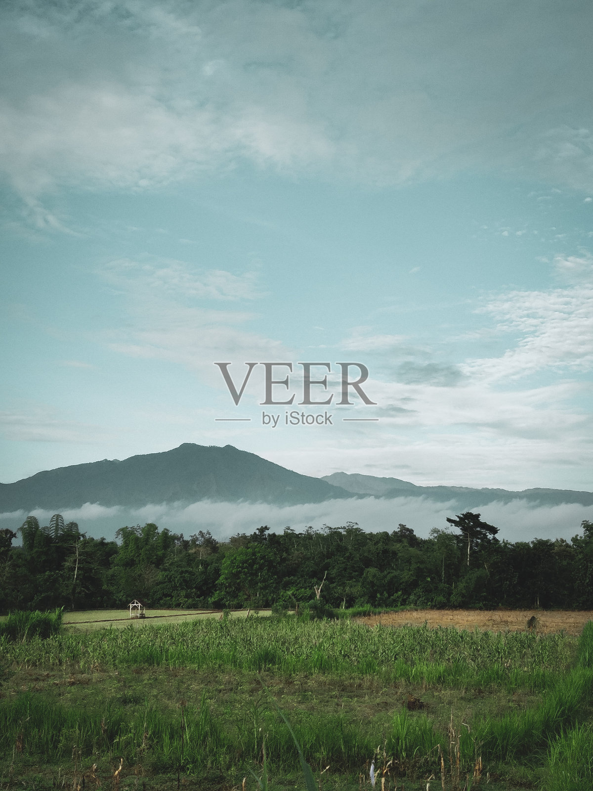 Argapura山照片摄影图片