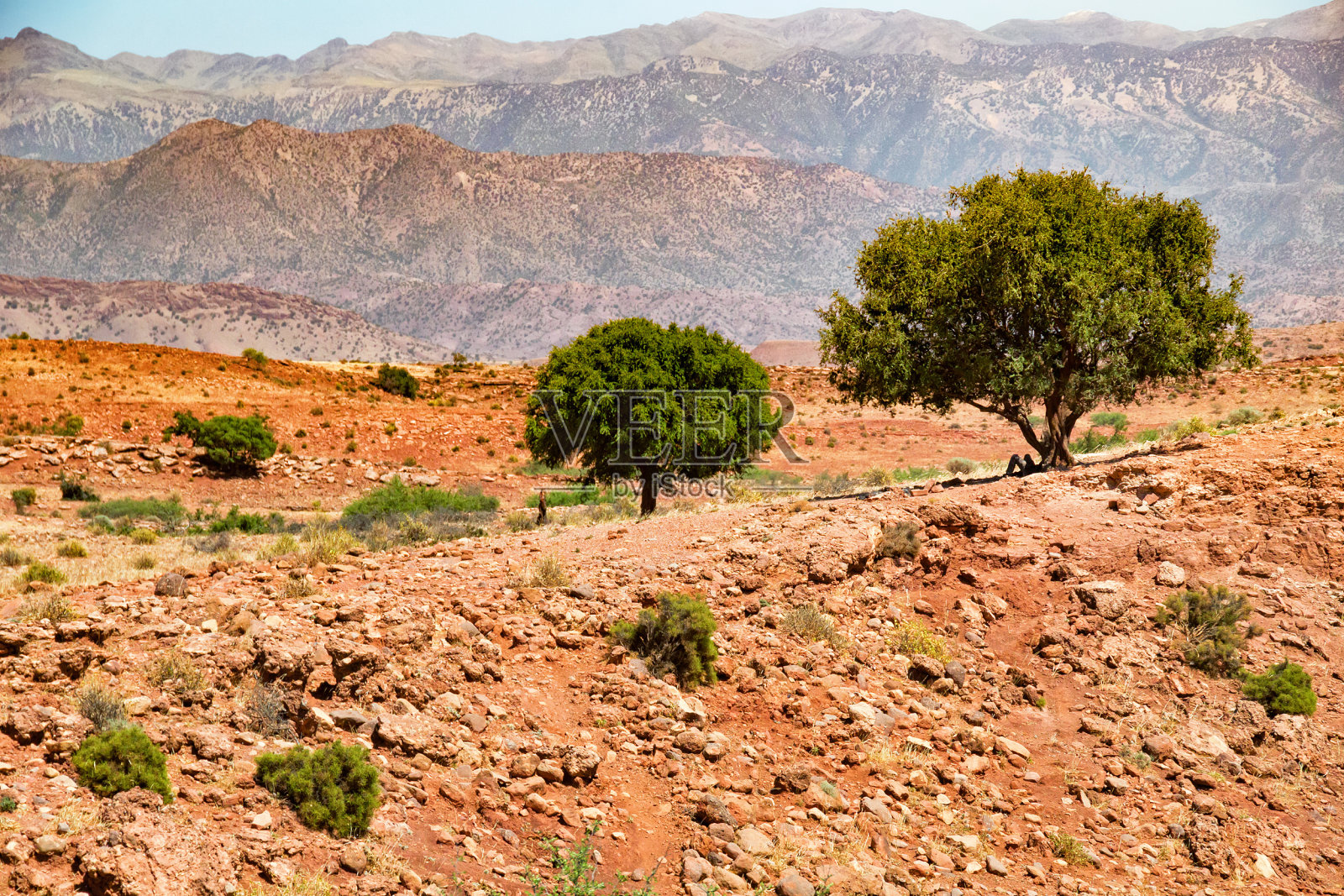 美丽的沙漠景观，多山的摩洛哥在一个阳光明媚的日子。照片摄影图片