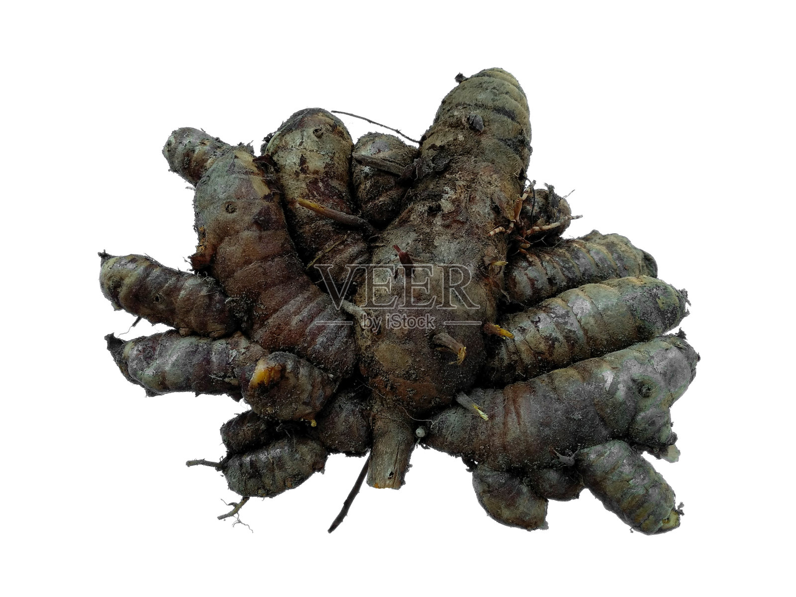 新鲜的姜黄根在白色的背景。鲜切姜黄或姜黄分离与剪枝路径照片摄影图片