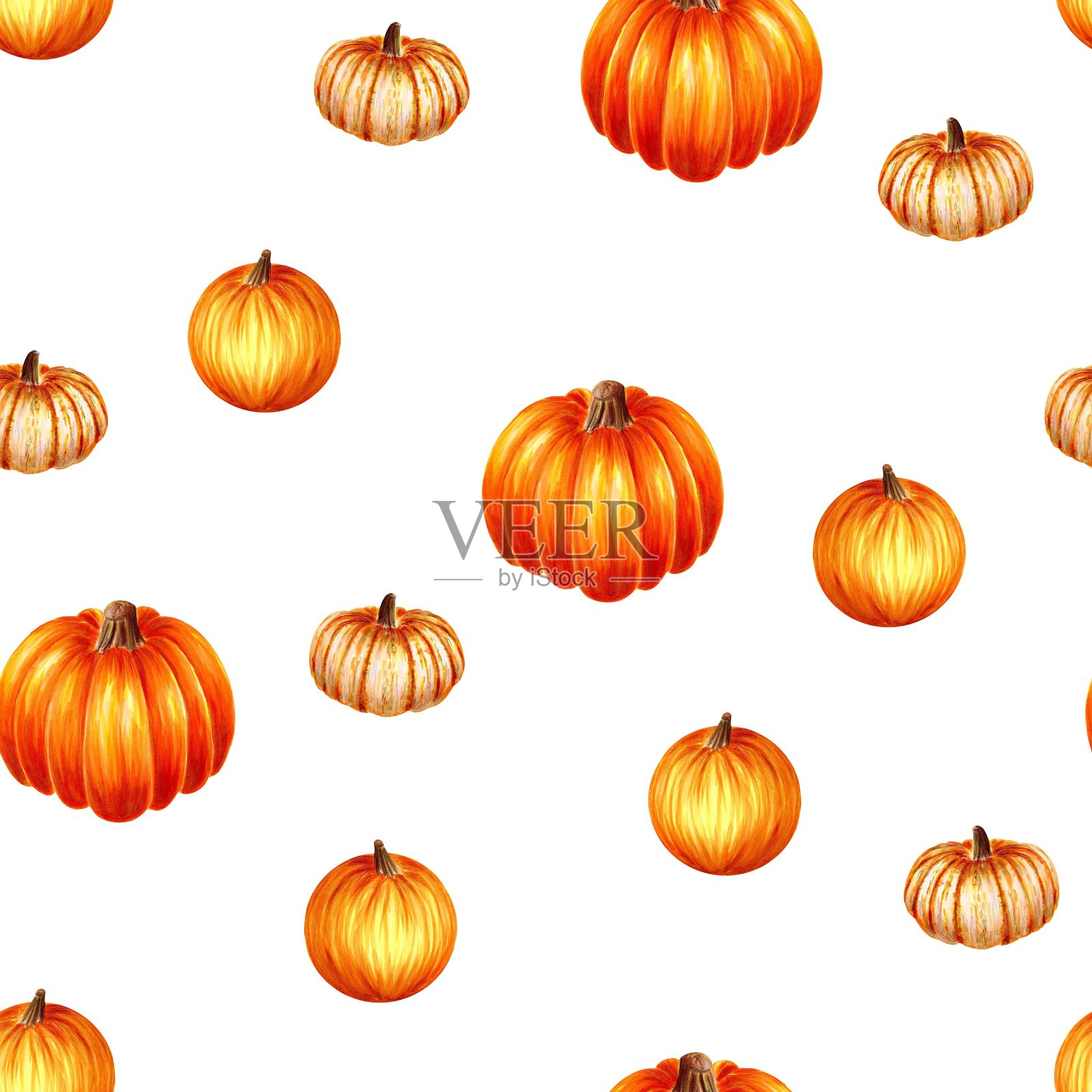 无缝图案从彩色南瓜在白色的背景，手绘标记插图在水彩技术插画图片素材