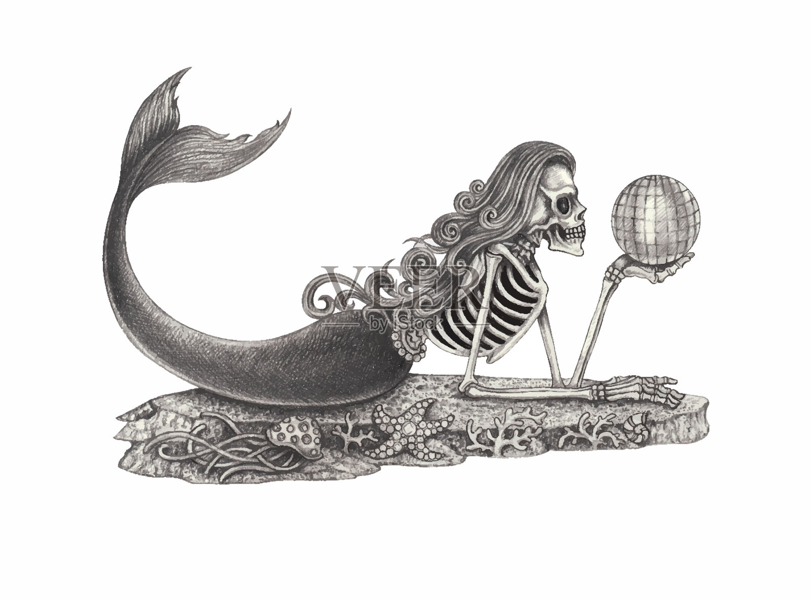 美人鱼的头骨。插画图片素材