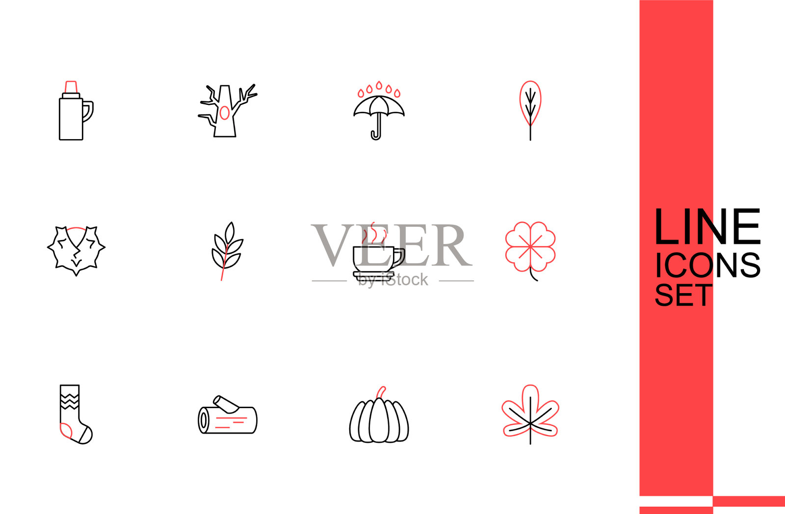 设线栗叶南瓜木袜子插画图片素材