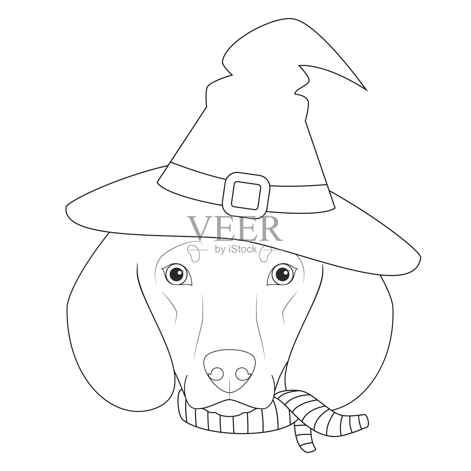 万圣节贺卡的着色。腊肠狗打扮成女巫戴着帽子和围巾插画图片素材