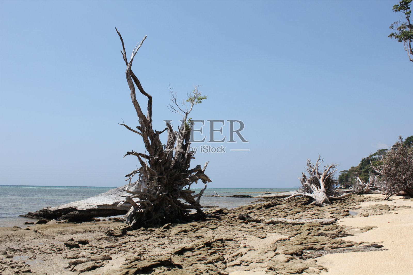 安达曼群岛上美丽的白色沙滩照片摄影图片