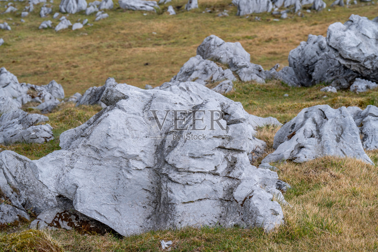 四国Karusuto照片摄影图片